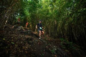 BIB: 
                            <button type="button" onclick="openModal(25091896)" class="btn btn-primary btn-sm float-right btn-popup" data-toggle="modal" data-target=".modal-high-quality">
                        <i class="fas fa-shopping-cart"></i> Add to Cart
                    </button>
                                            <button type="button" onclick="isThisMe(25091896, true)" class="btn btn-success btn-sm float-right btn-popup btn-isme hidden" data-toggle="tooltip" data-placement="bottom" title="นี่คือรูปของคุณใช่ไหม คลิกที่นี่เพื่อเอาเข้าอัลบั้ม">
                        <i class="fas fa-plus"></i> Add to album
                    </button>
                    <button type="button" onclick="isThisMe(25091896, false)" class="btn btn-warning btn-sm float-right btn-popup btn-isnotme hidden">
                        <i class="fas fa-ban"></i> Remove from album
                    </button>